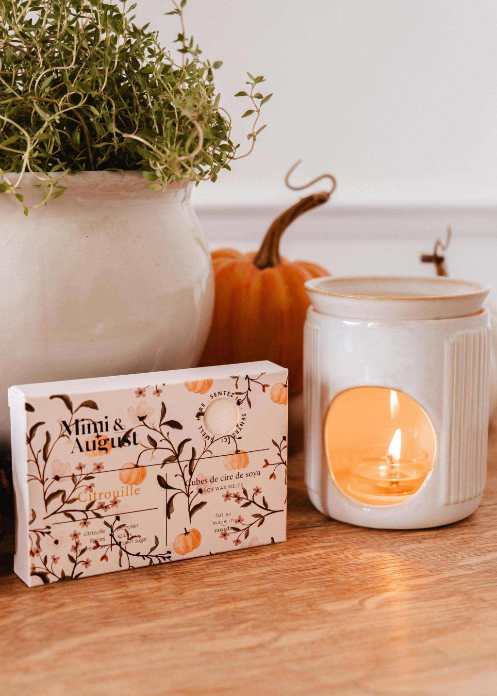 Soy Wax Melts | Citrouille