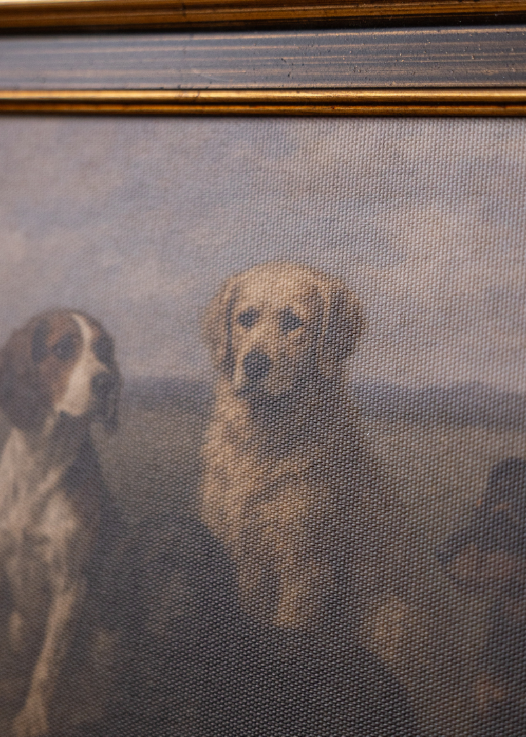 Dog Breeds | Antique Inspired Brass Trim Black Framed Art
