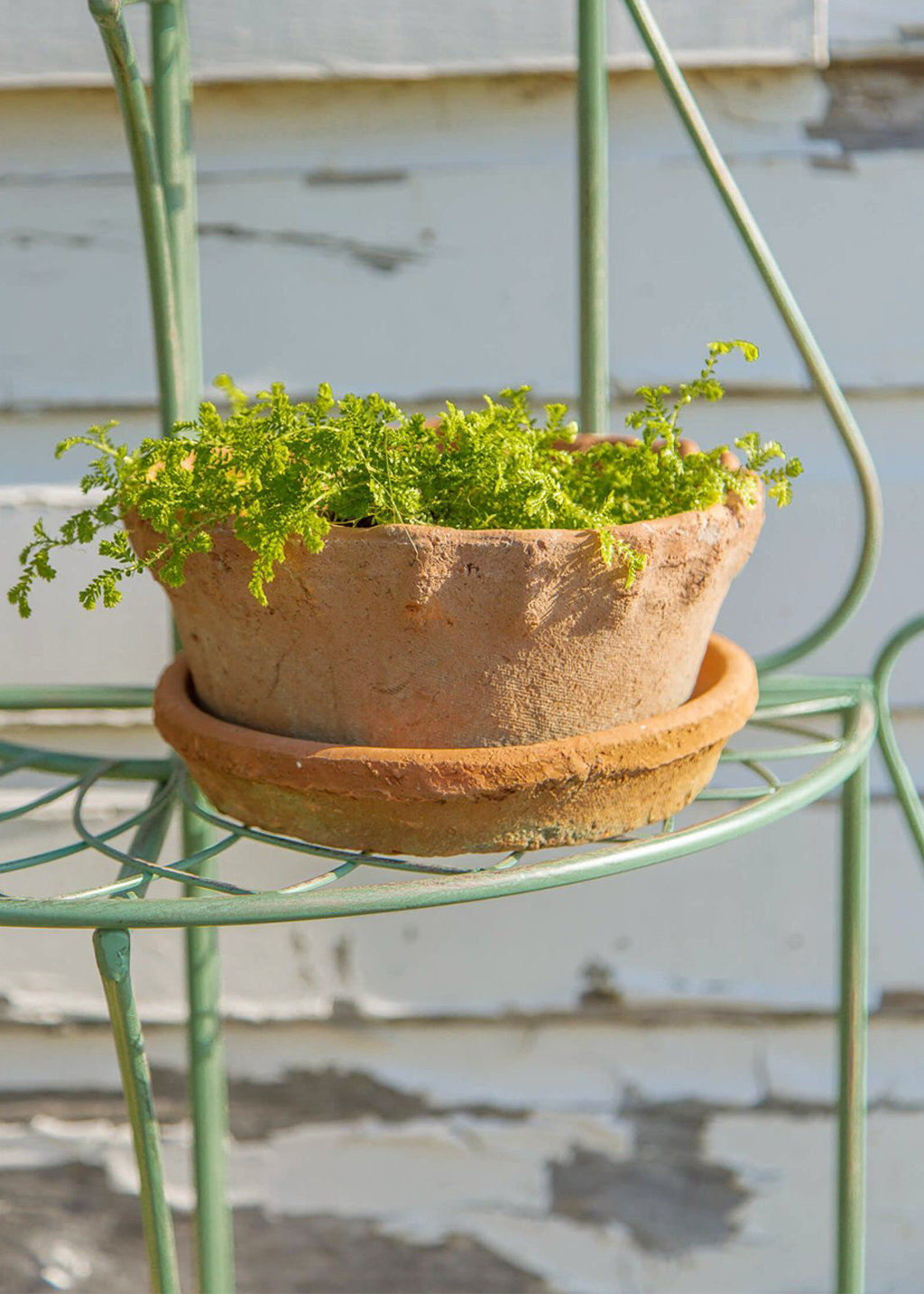 SML Frilly Edge Redstone Garden Dish & Saucer