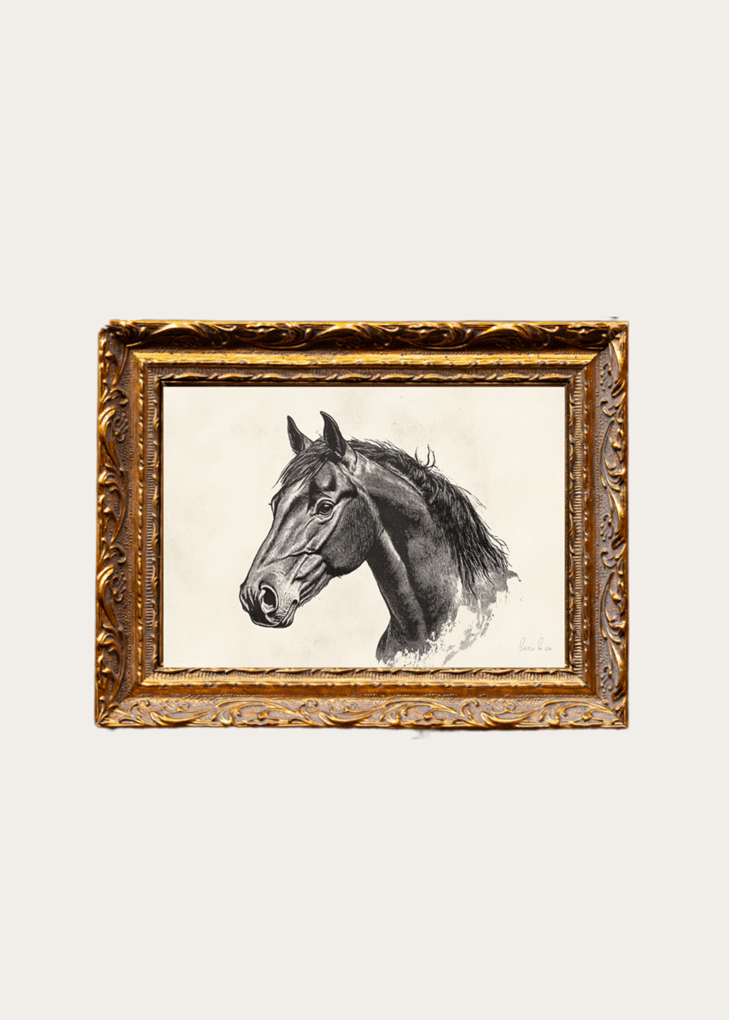 Brass Framed Stallion Sketch
