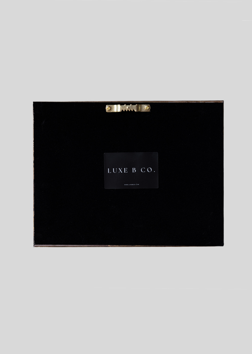 Brass Framed Stallion Sketch