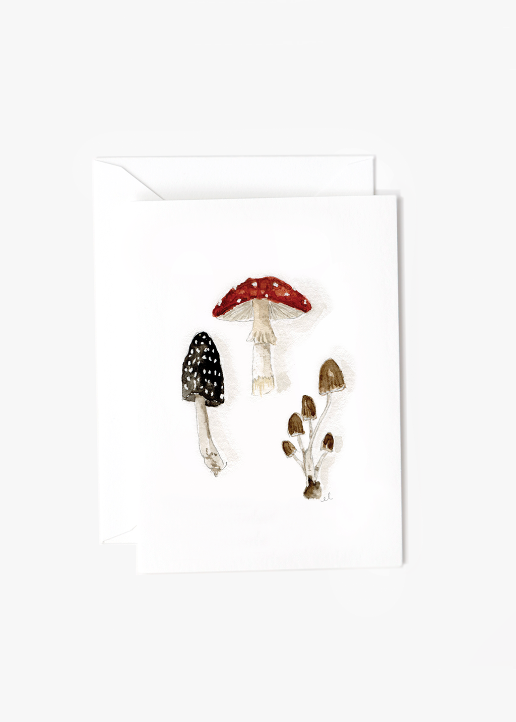Mushrooms Mini Card