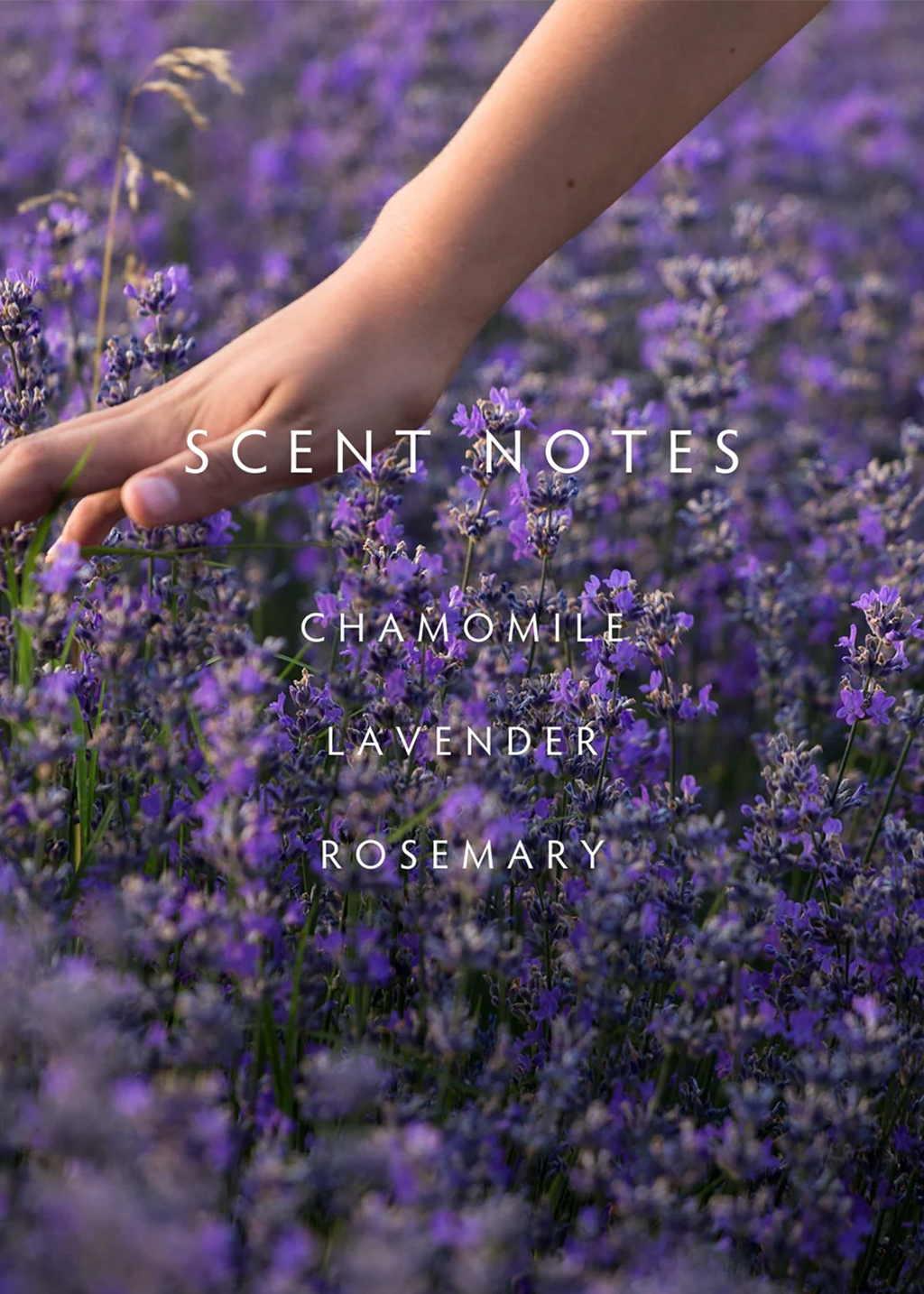 Lavendar Rosemary Room Spray