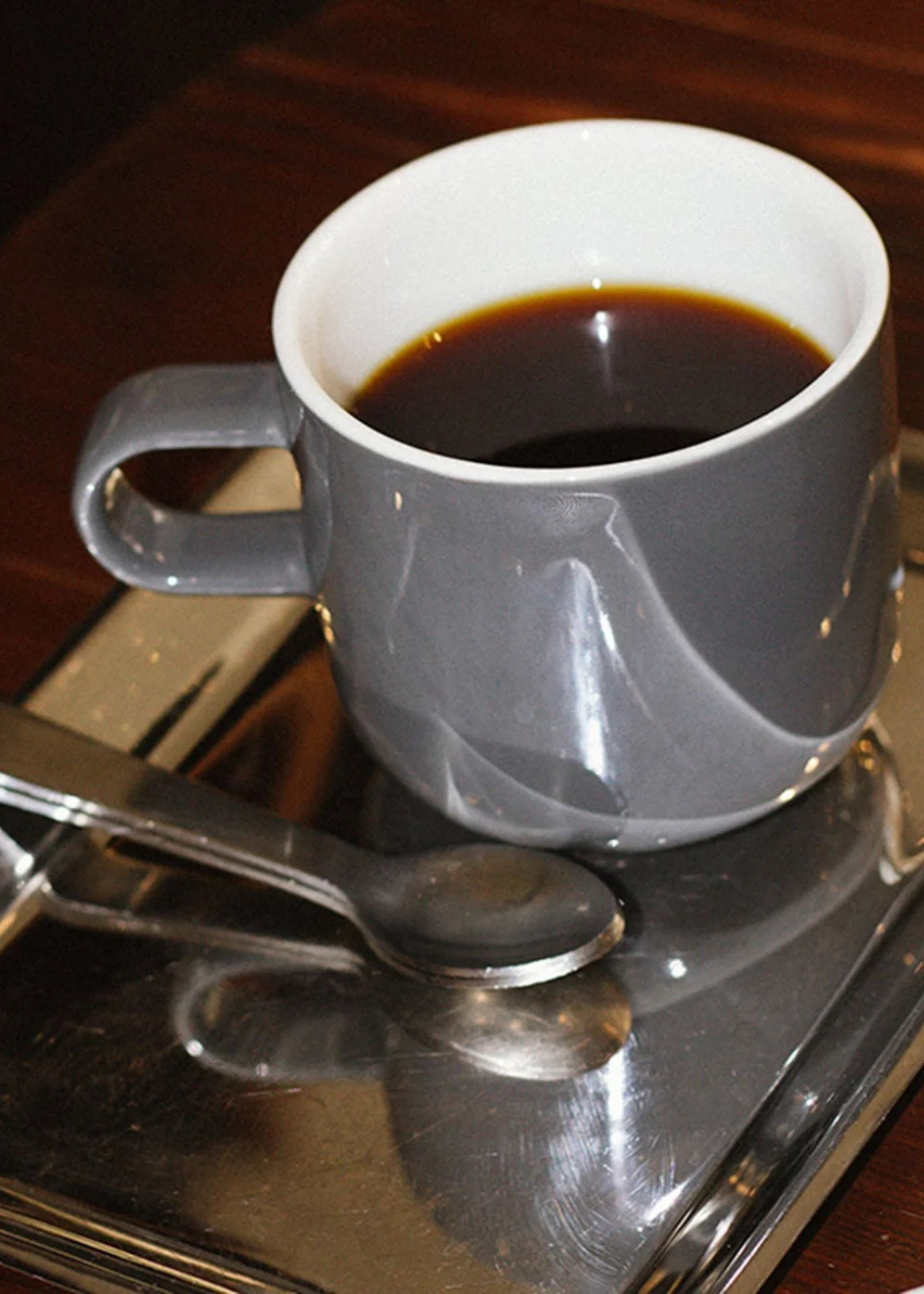 Acme Bobby Med Mug | Dolphin