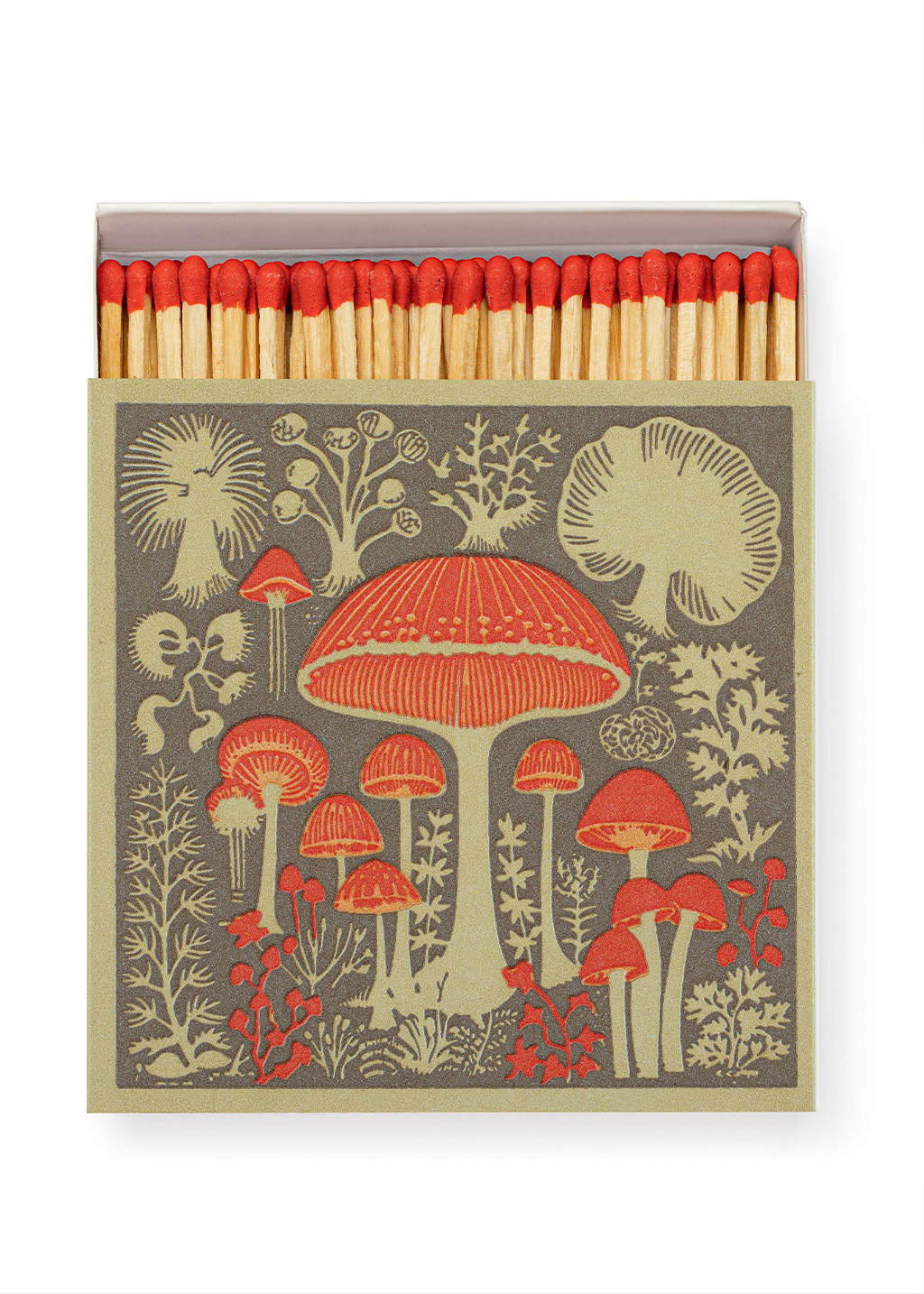 Mushrooms Square Matchbox