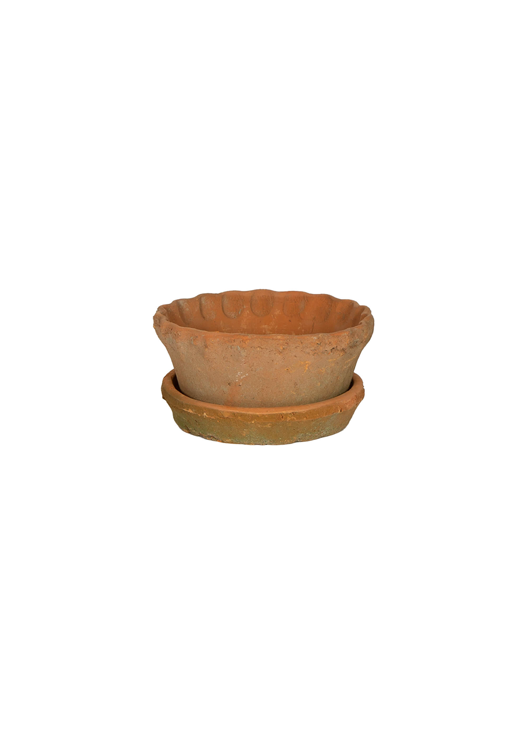 SML Frilly Edge Redstone Garden Dish & Saucer