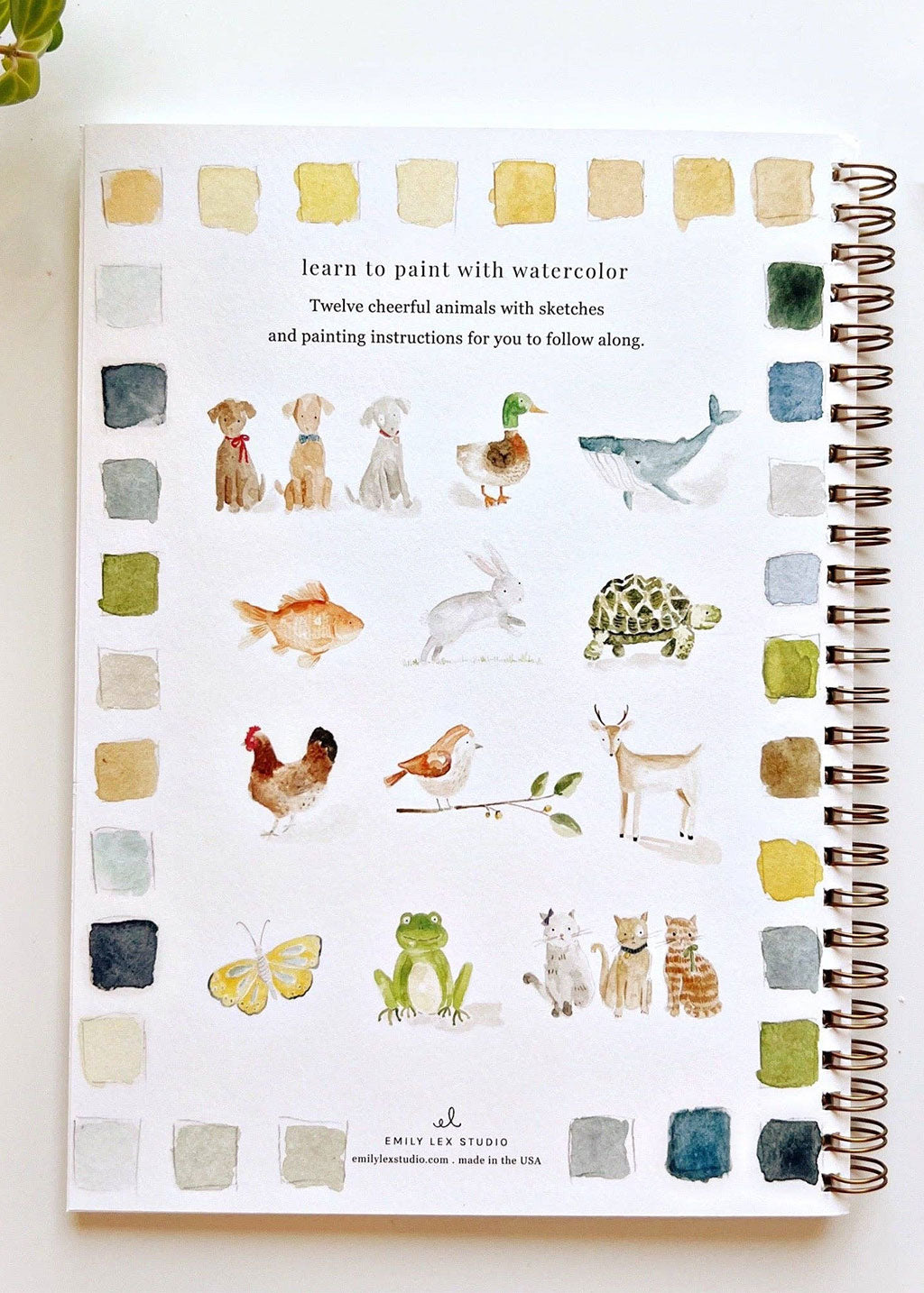 Animals Watercolor Workbook