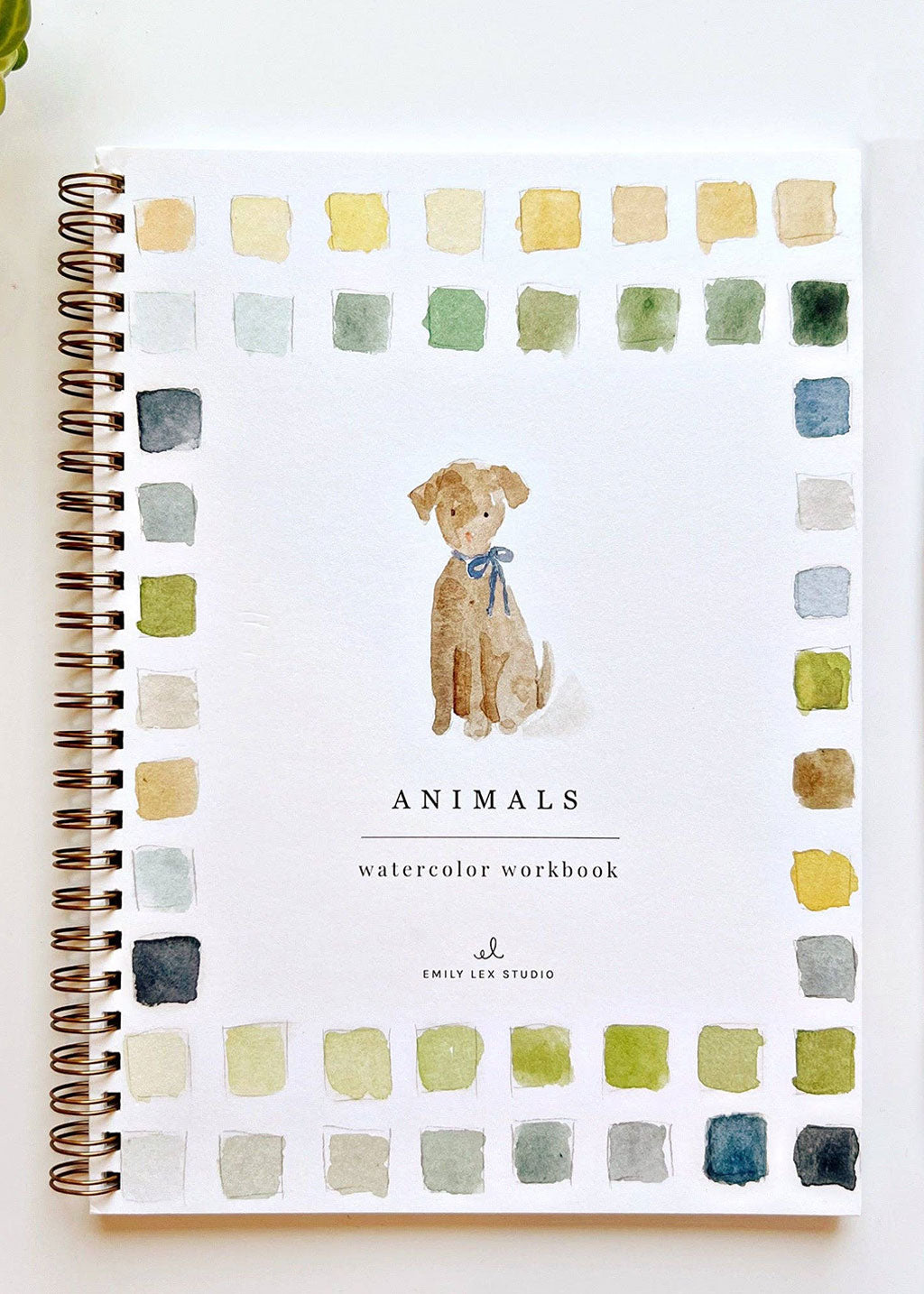 Animals Watercolor Workbook