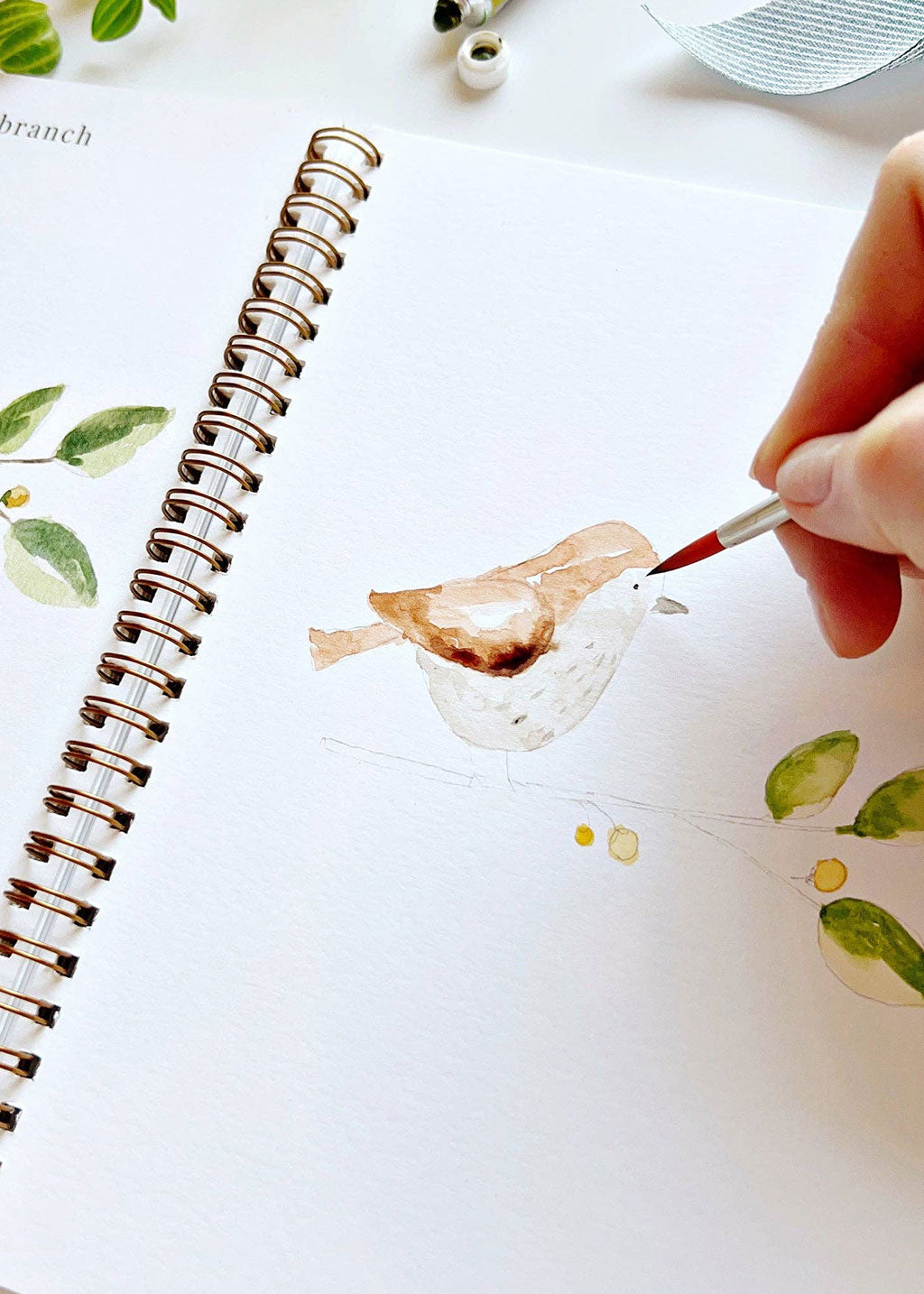 Animals Watercolor Workbook