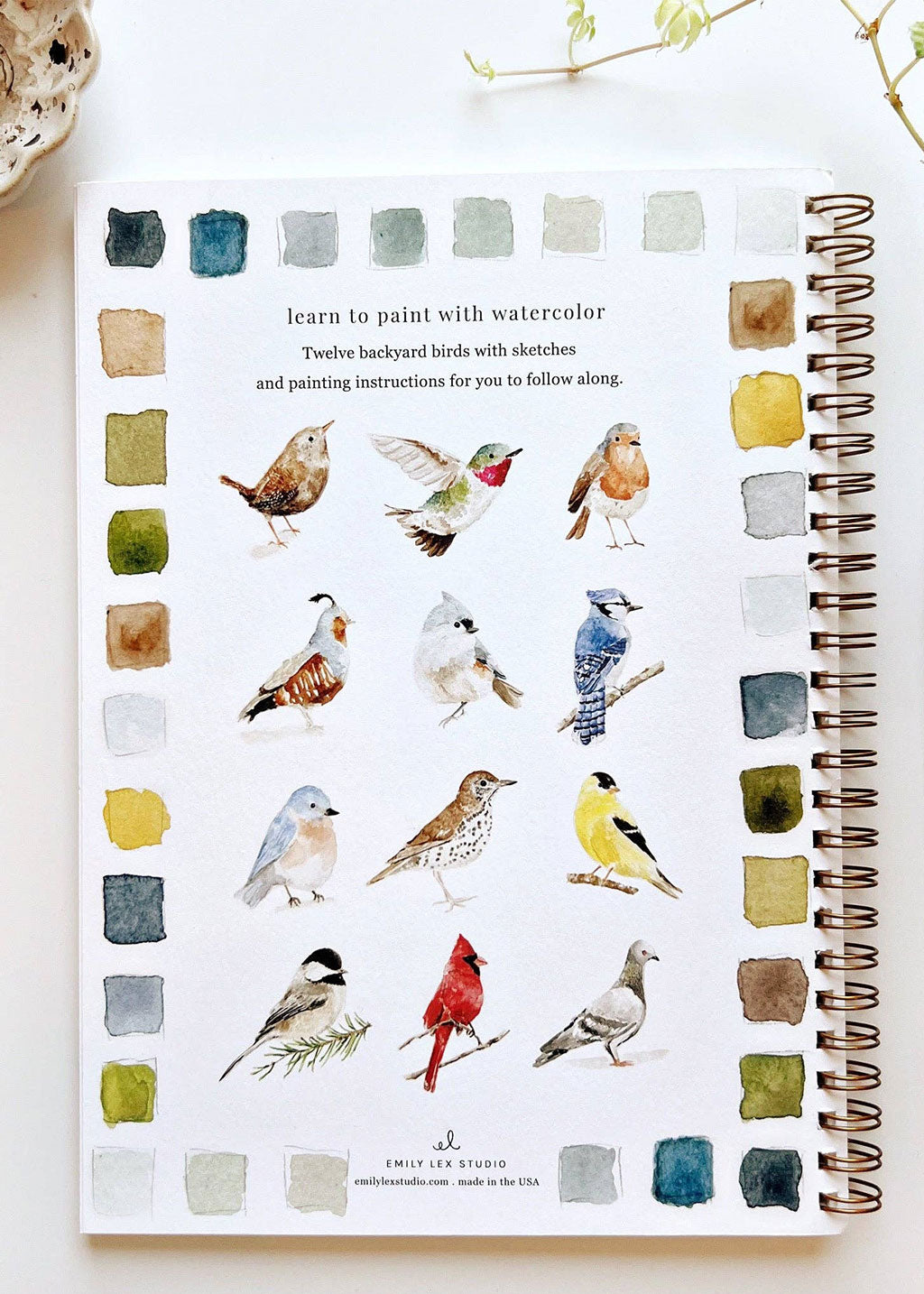 Birds Watercolor Workbook