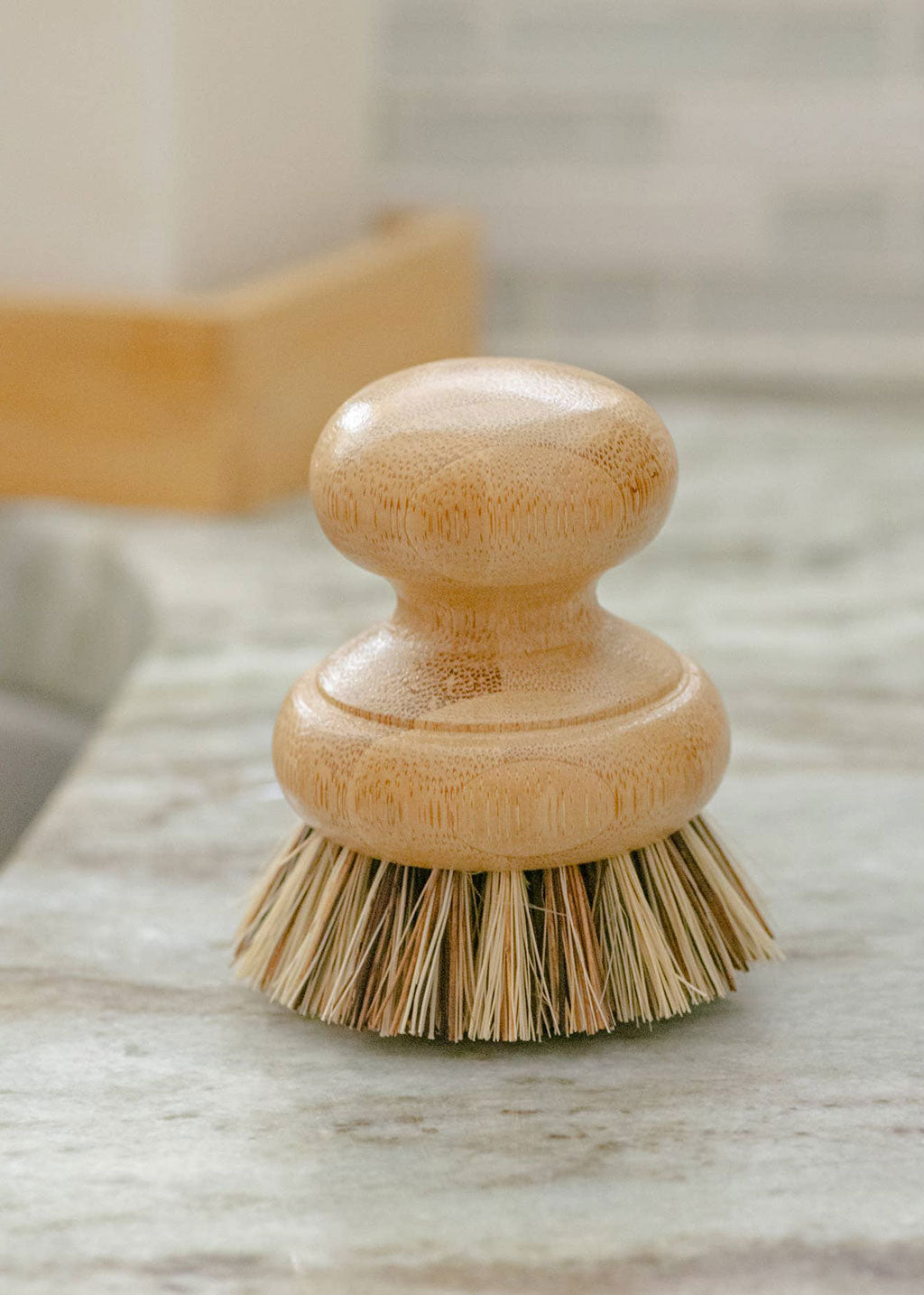 Casa Agave Pot Scrubber Brush