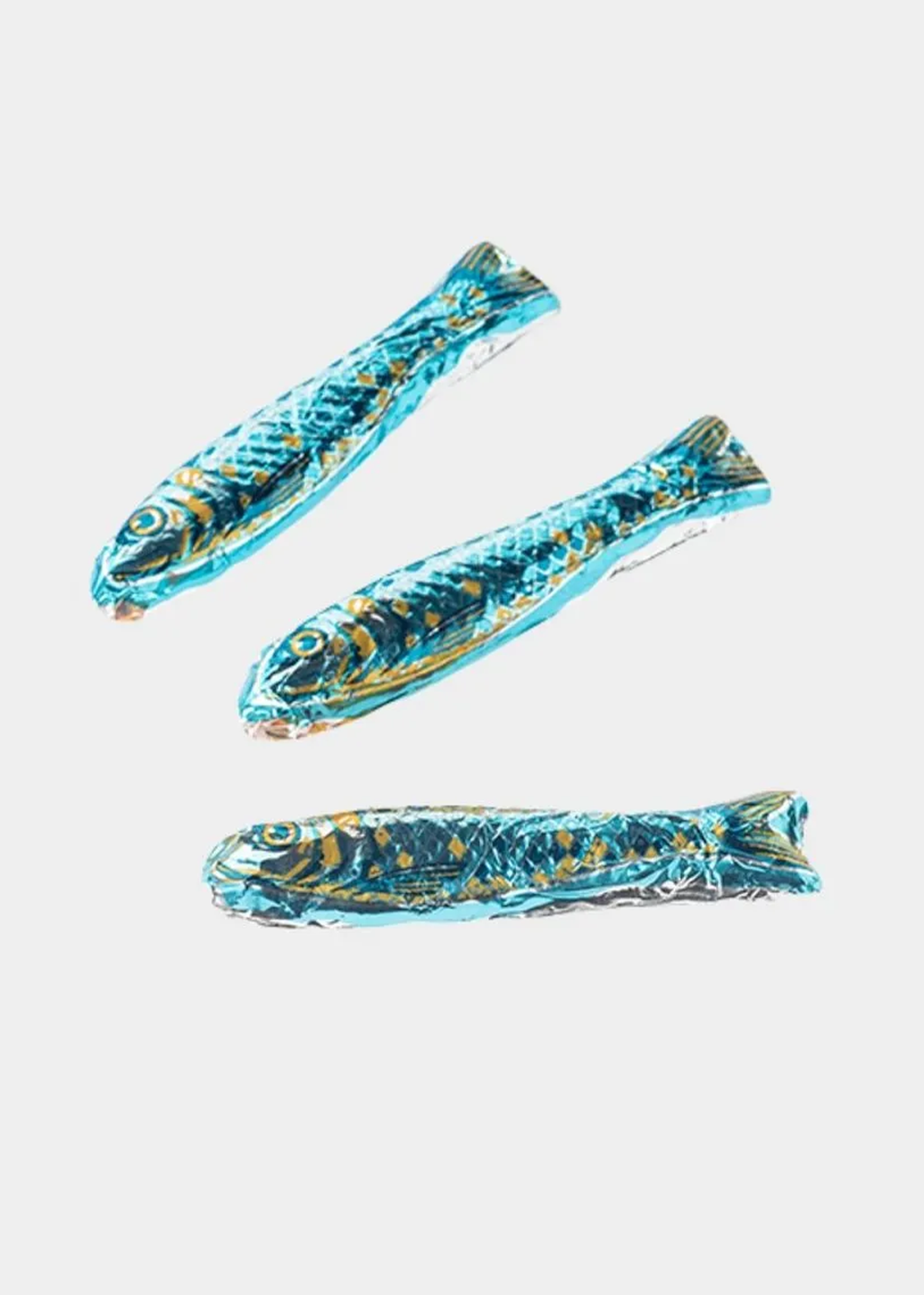 Simon Coll Latas de Sardinas