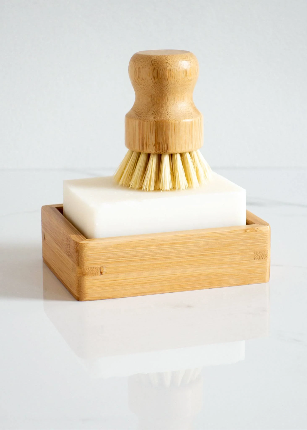 Casa Agave Hand Brush