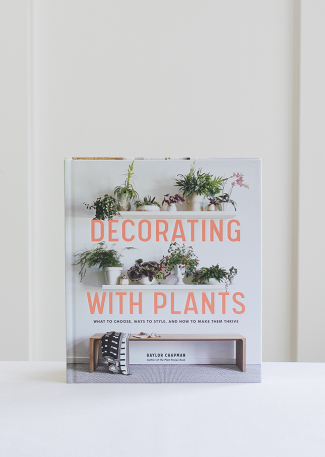 Decorating with Plants