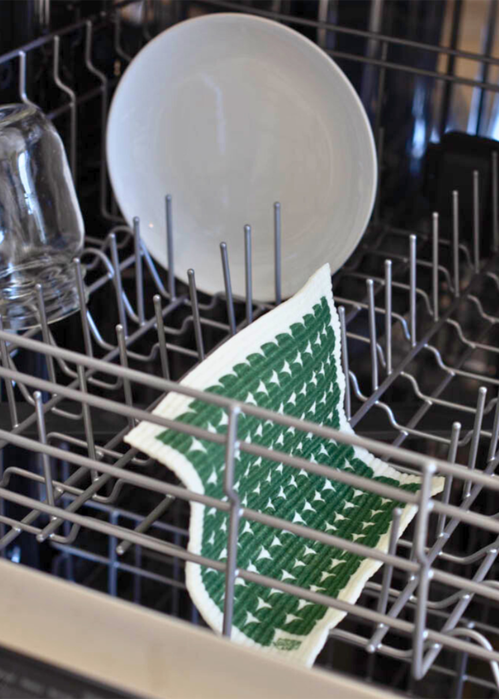 Cloths That Plants Trees