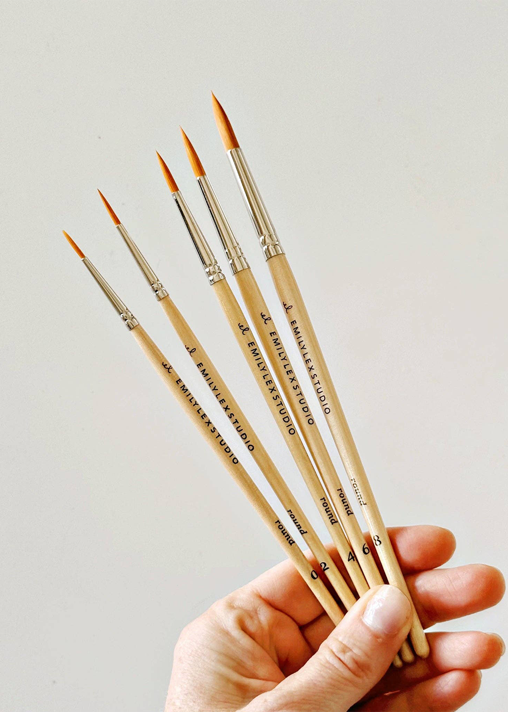 Watercolor Paintbrush Set of 5