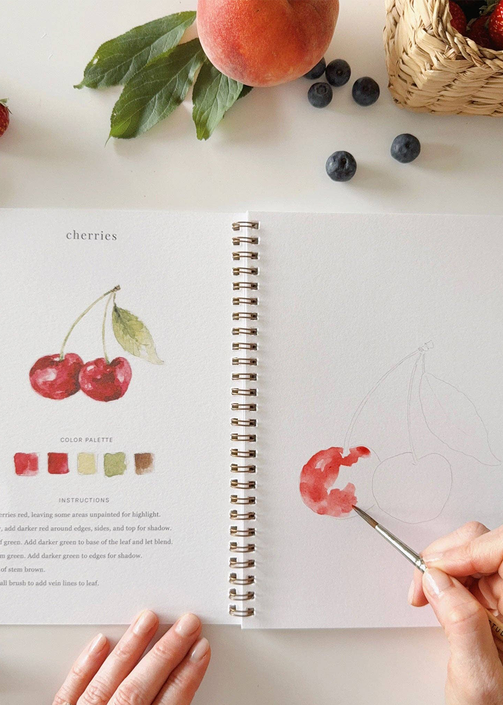 Watercolour Workbook | Fruit