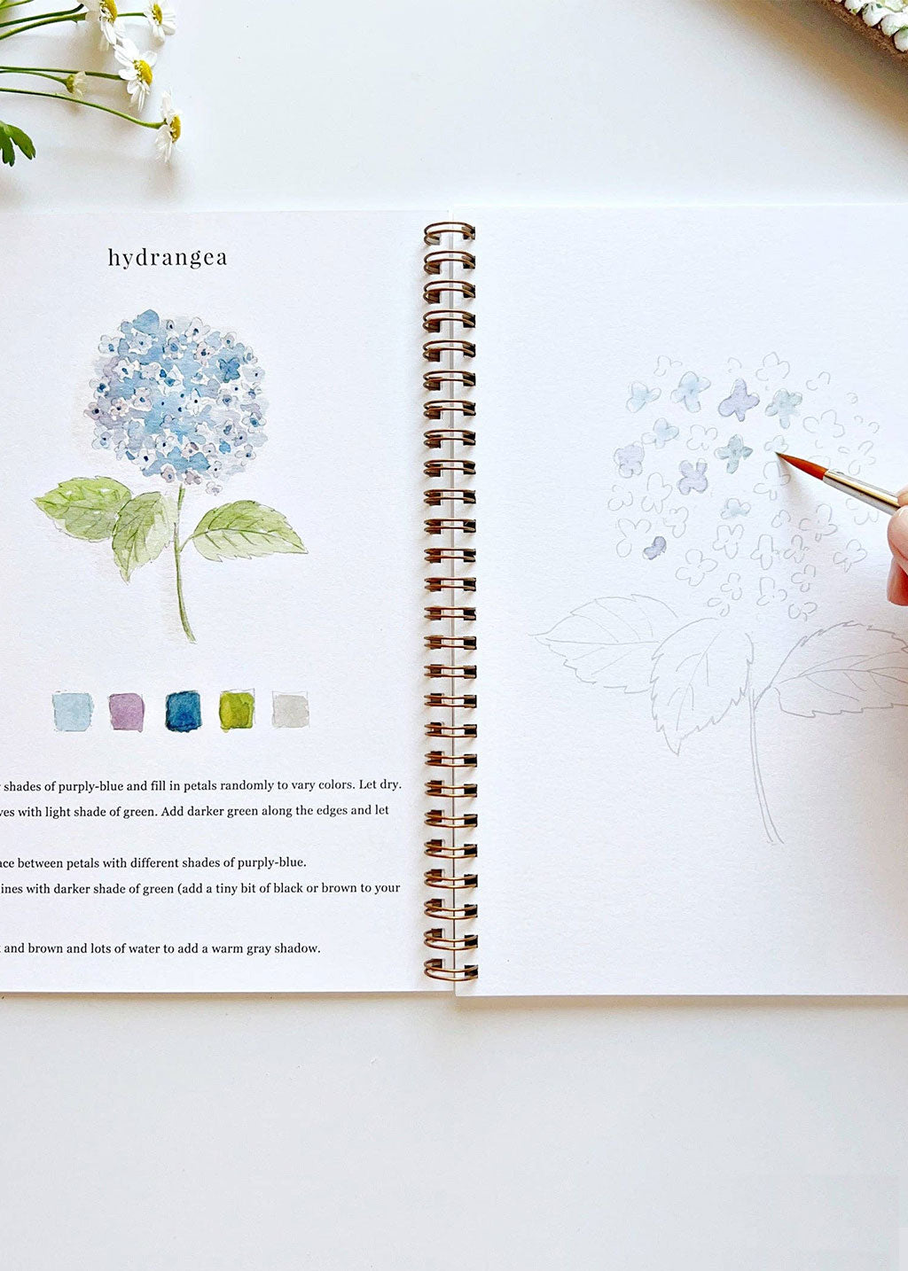 Flowers Watercolor Workbook