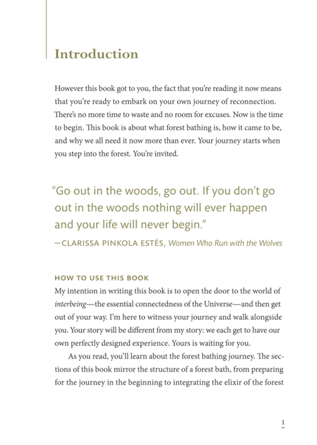 The Healing Magic of Forest Bathing