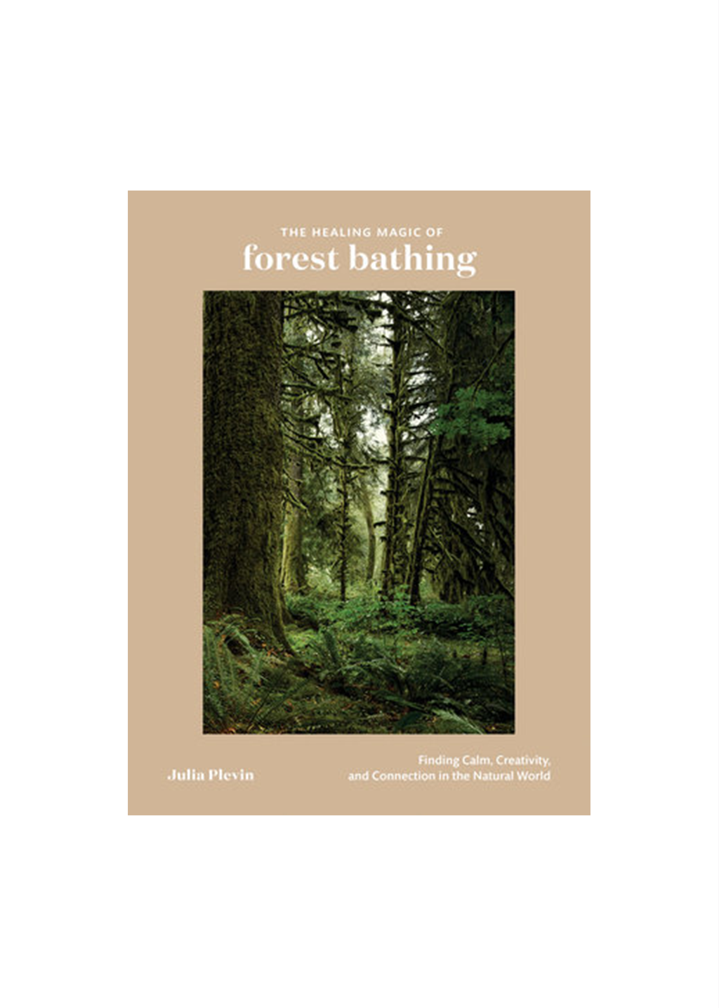 The Healing Magic of Forest Bathing