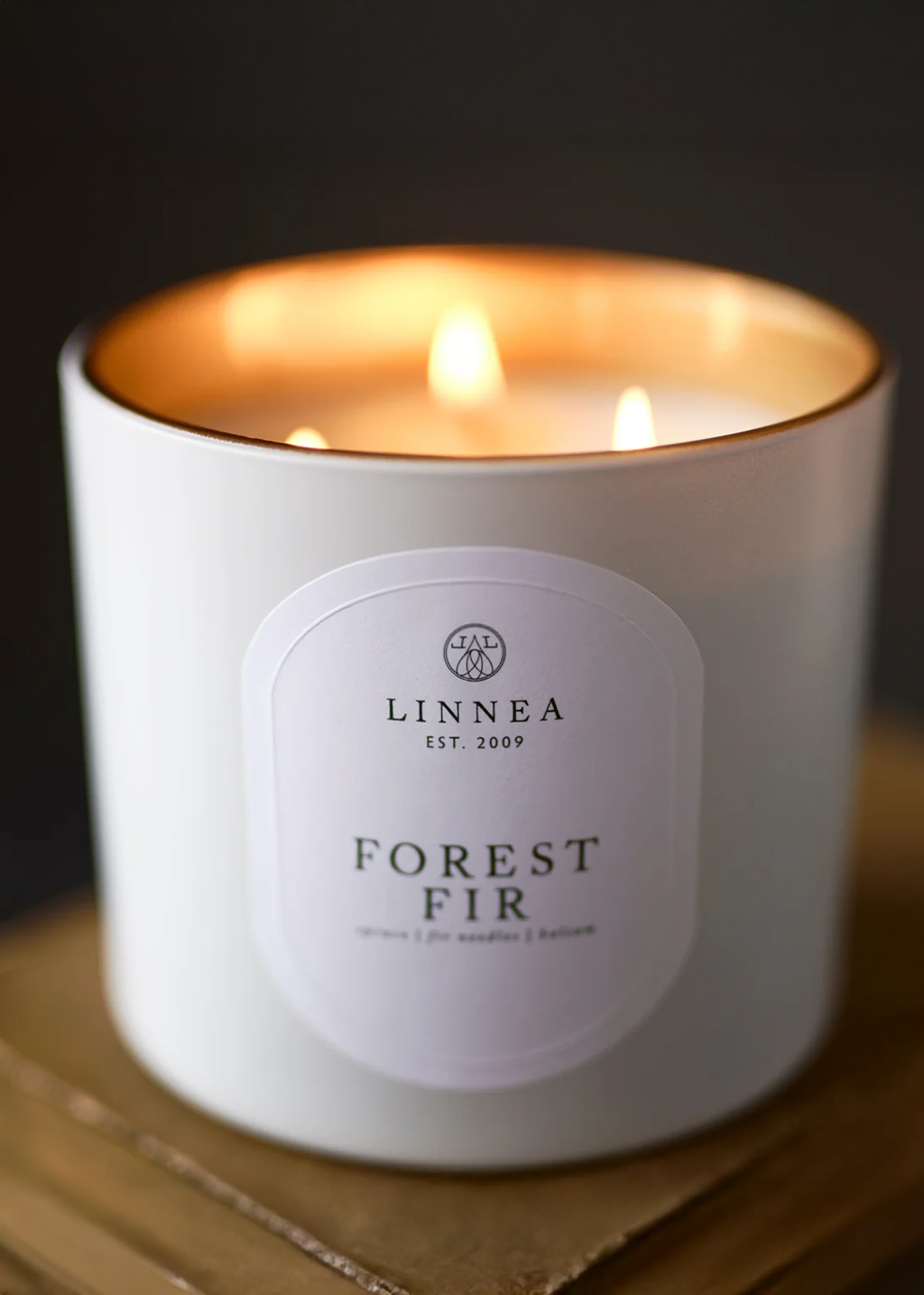 Forest Fir Grand 3w Candle