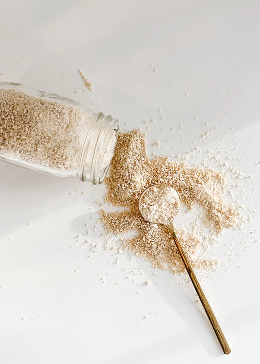 Dehydrated Sourdough Starter