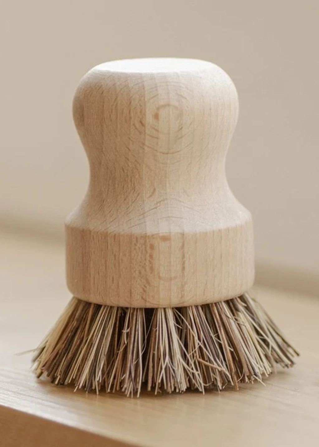 Casa Agave Pot Scrubber