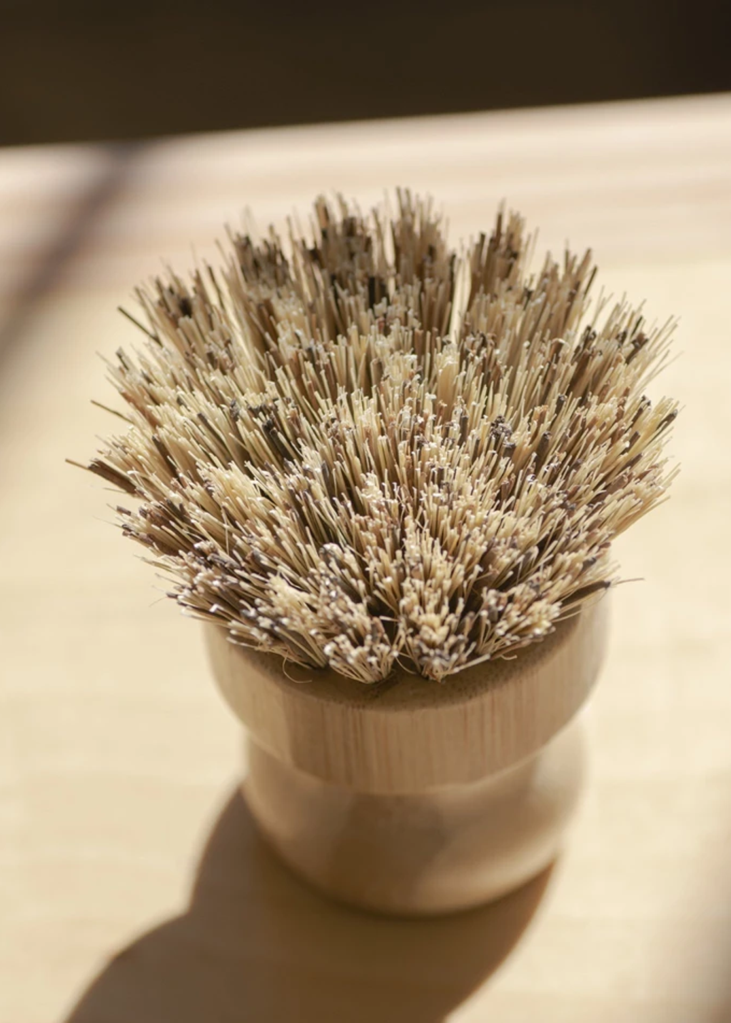 Casa Agave Pot Scrubber